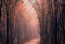 桑普多利亚中场球员获得赛后最佳评选